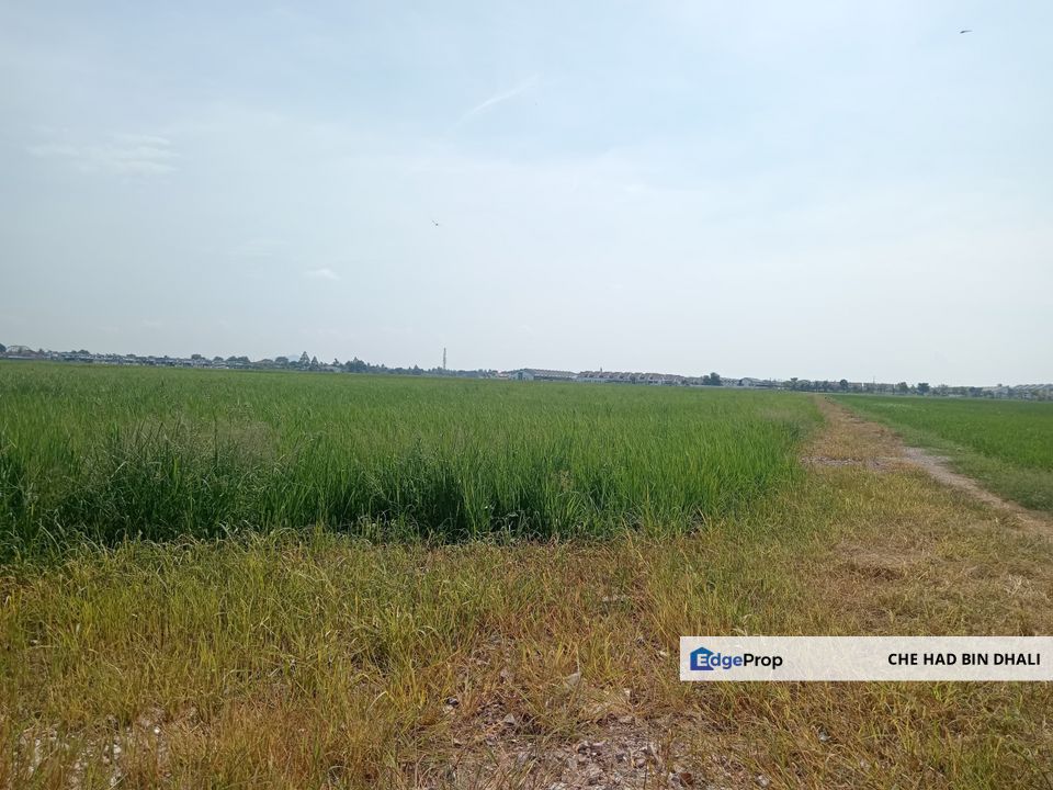 Tanah Pertanian (Zoning Pembangunan) untuk dijual di Jalan Kuala Kedah berdekatan Taman Nautika, Kedah, Alor Setar