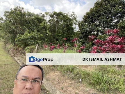 AGRICULTURE LAND MERSING JEMALUANG FOR SALE , Johor, Kota Tinggi