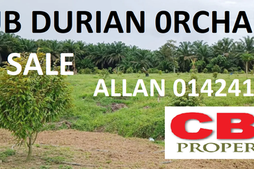 RAUB PAHANG DURIAN ORCHARD FOR SALE