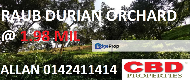 RAUB PAHANG DURIAN ORCHARD FOR SALE (GOOD INVESTMENT, GOOD ROI, RAUB, PAHANG), Pahang, Raub