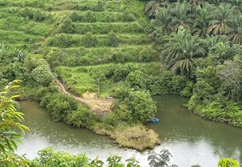 RAUB DURIAN ORCHARD (MUSANG KING, PAHANG)25
