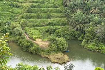 RAUB DURIAN ORCHARD (MUSANG KING, PAHANG)25