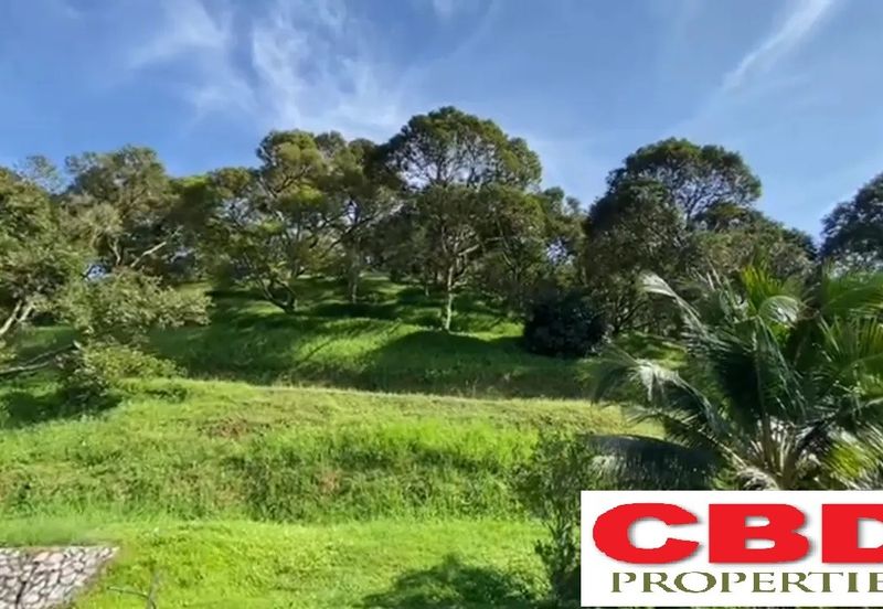 RAUB DURIAN ORCHARD FOR SALE