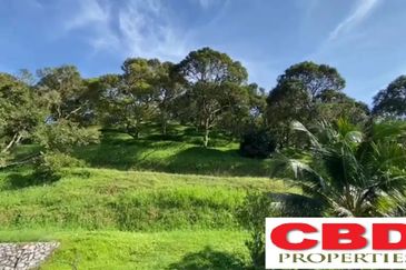 RAUB DURIAN ORCHARD FOR SALE