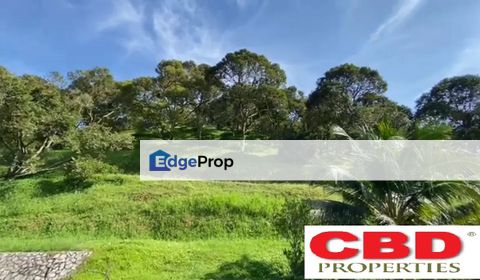 RAUB DURIAN ORCHARD FOR SALE, Pahang, Raub