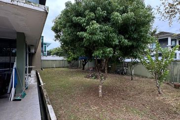 Maple Red, Adda Heights