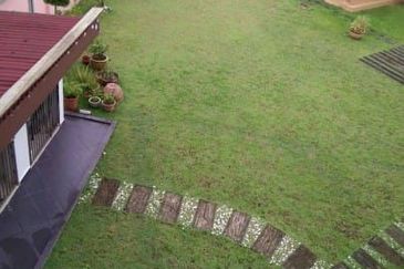 Serissa  @ Kempas Utama