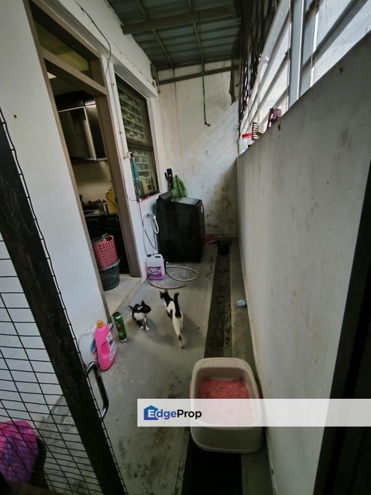 Double Storey Terrace @ Bandar Tiram, Johor, Ulu Tiram