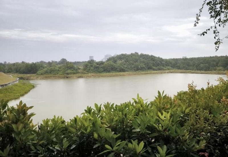 Avira Garden Terraces @ Medini