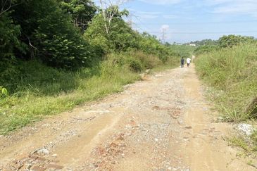 Pekan Mukim Batu Daerah Kota Tinggi Industrial Land For Sale