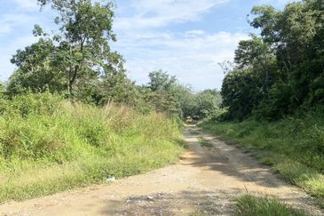 Pekan Mukim Batu Daerah Kota Tinggi Industrial Land For Sale