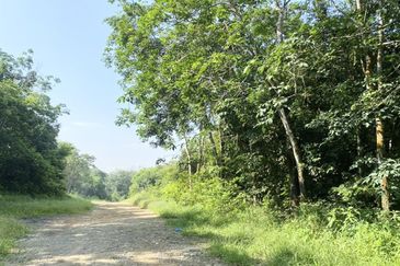 Pekan Mukim Batu Daerah Kota Tinggi Industrial Land For Sale