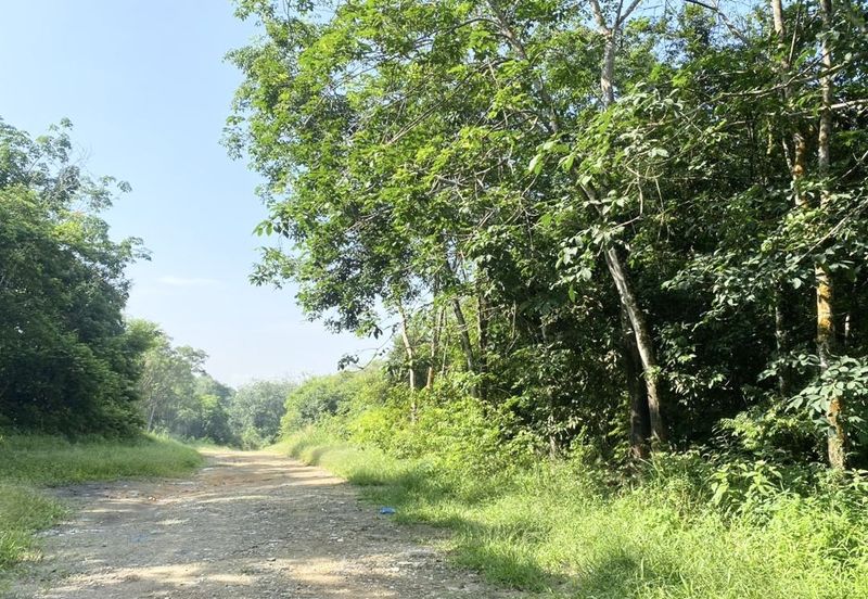 Pekan Mukim Batu Daerah Kota Tinggi Industrial Land For Sale