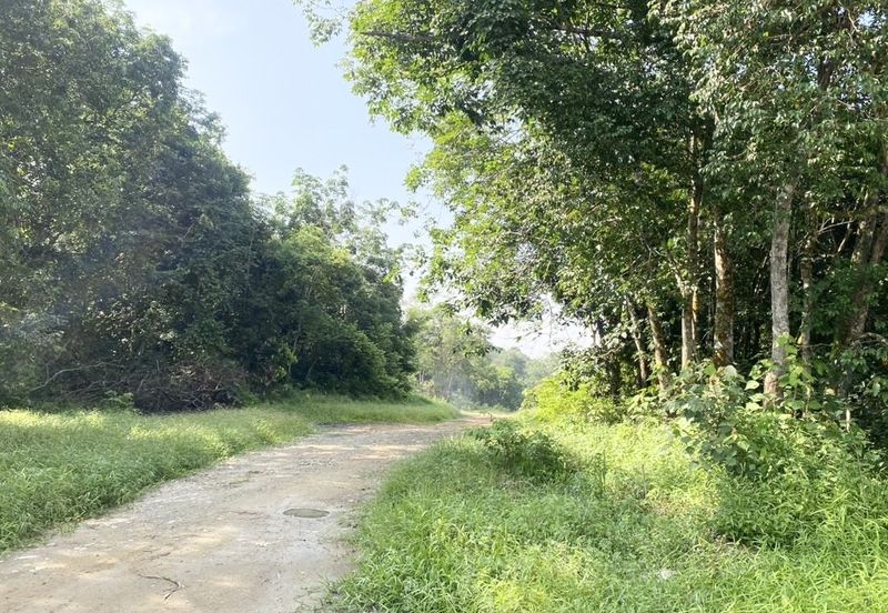 Pekan Mukim Batu Daerah Kota Tinggi Industrial Land For Sale
