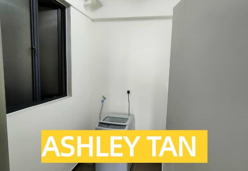 The Golden Triangle 2