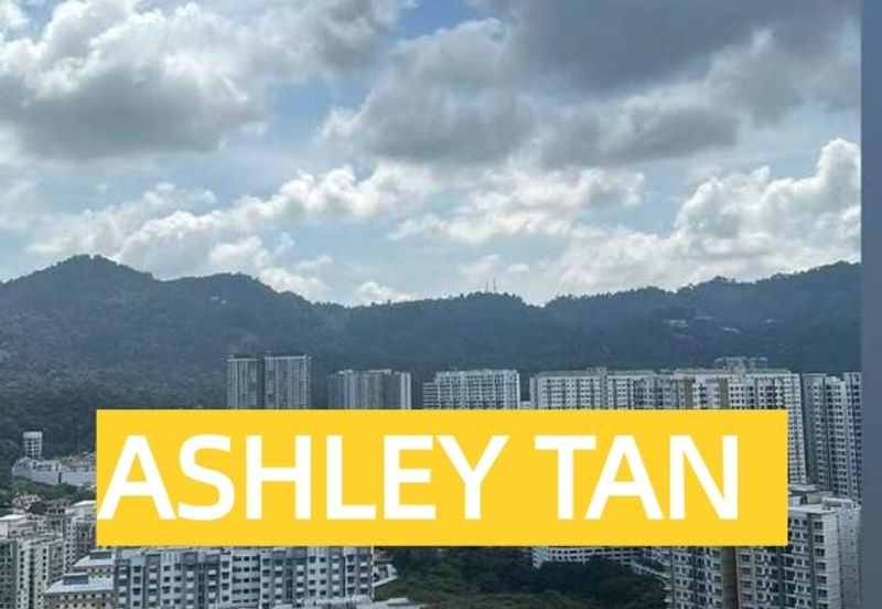 The Golden Triangle 2