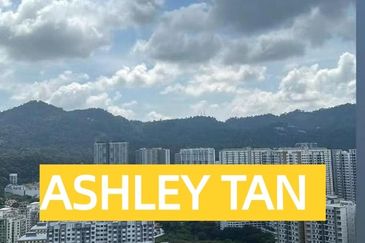 The Golden Triangle 2