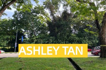 HOT SPOT! Freehold 2-Sty Commercial-Zone Terrace Byn Baru Biz/Own Use