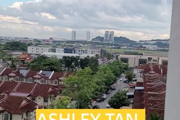 Tree Sparina @ Ideal Vision Park