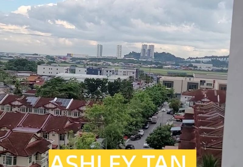 Tree Sparina @ Ideal Vision Park