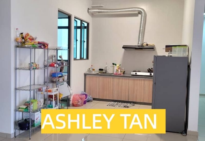 Tree Sparina @ Ideal Vision Park