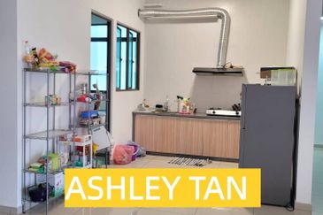 Tree Sparina @ Ideal Vision Park