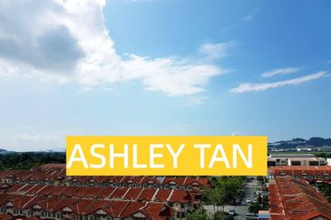 Tree Sparina @ Ideal Vision Park