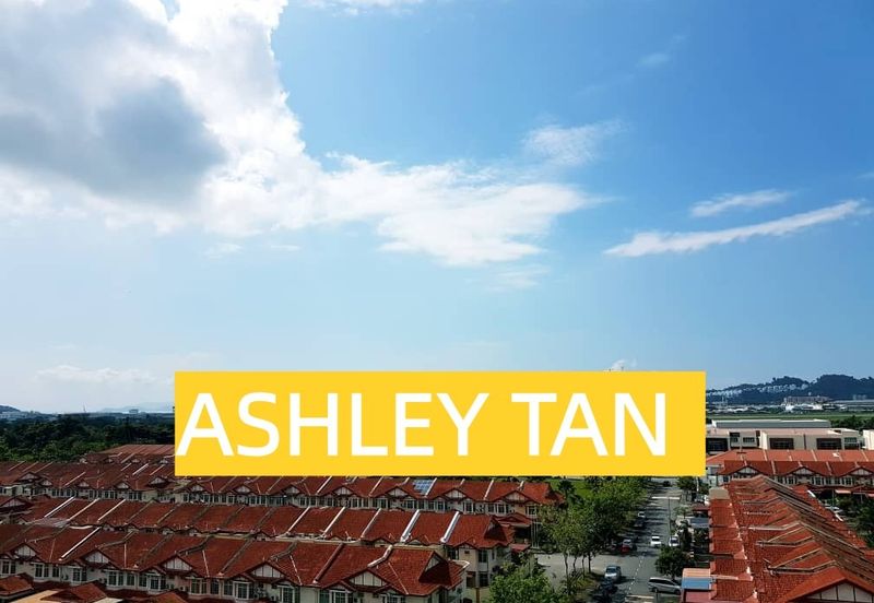 Tree Sparina @ Ideal Vision Park