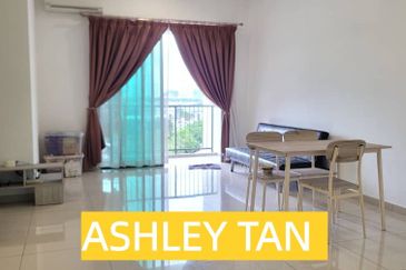 Tree Sparina @ Ideal Vision Park