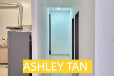 Tree Sparina @ Ideal Vision Park