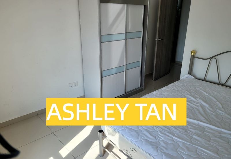 Tree Sparina @ Ideal Vision Park