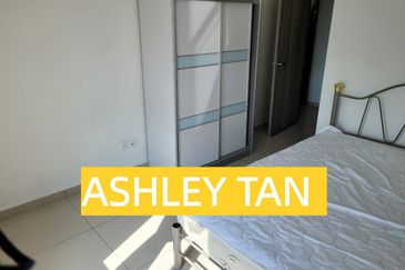 Tree Sparina @ Ideal Vision Park