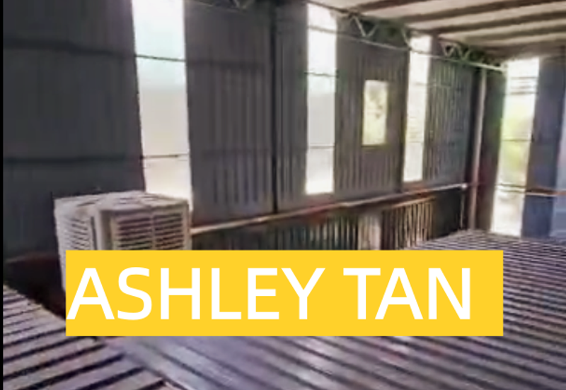 RARE FULL FITTED Commercial Semi-D Teras Jaya Butterworth Ideal 4 F&B