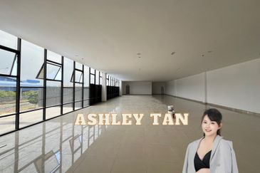 NEW Bukit Minyak Penang Science Park Detached Factory 45000sf 1.515Ac