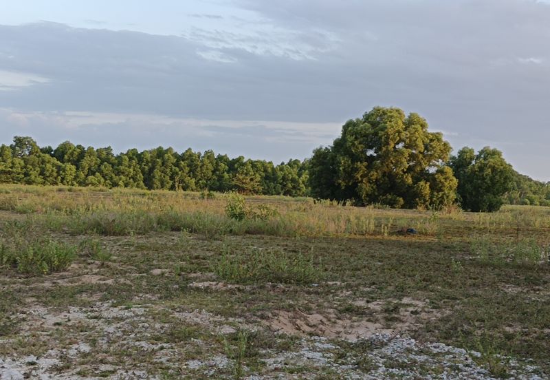 West Port, Pulau Indah