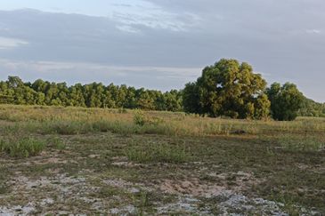 West Port, Pulau Indah