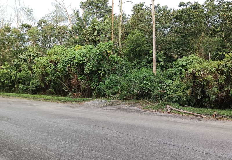 Taman Tasik kiambang