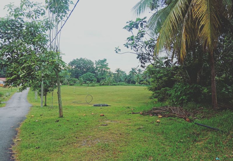 Semenyih Integrated Industrial Park