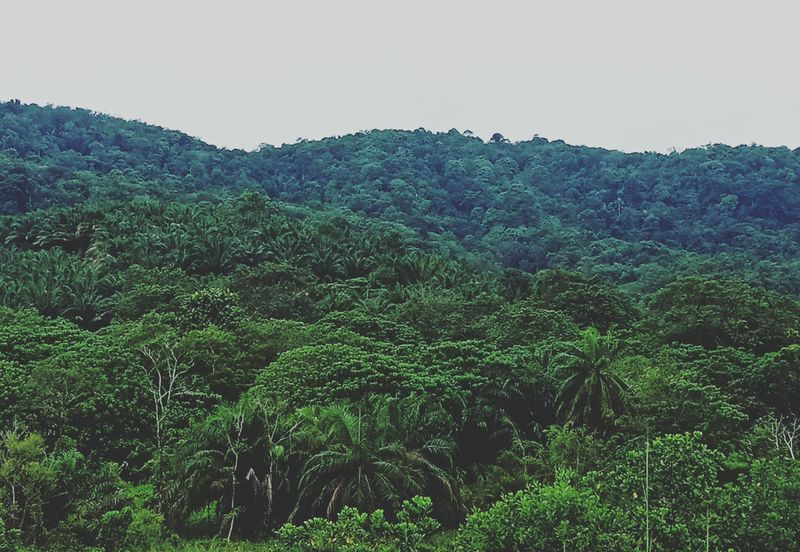 Semenyih Hi-Tech 6 Industrial Park