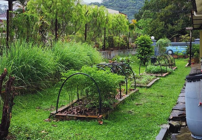 Seksyen 5, Petaling Jaya