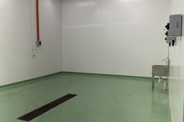 Medium Industry in Iskandar Puteri, Gelang Patah Factory for Sale, Cold Room Facilities, 300 Amps