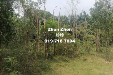 Senai, Agriculture Land for Sale, Suitable for Developers to build Factories or Data Centers