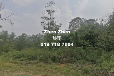 Senai, Agriculture Land for Sale, Suitable for Developers to build Factories or Data Centers