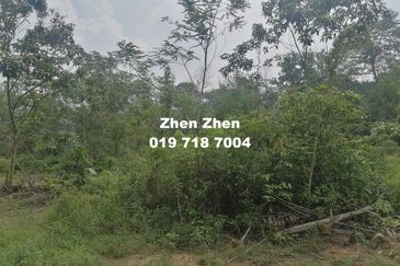 Senai Industrial Park, Seelong, Senai, Medium Industrial Land for Sale, 5 minutes to Senai Airport