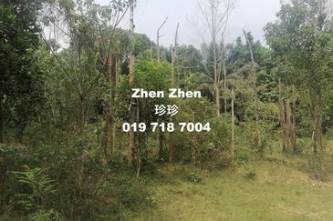 Seelong, Senai, Medium Industrial Land for Sale, 10 minutes to Senai Airport