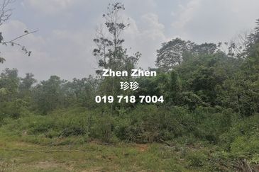 Seelong, Senai, Medium Industrial Land for Sale, 10 minutes to Senai Airport