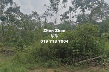 Seelong, Senai, Medium Industrial Land for Sale, 10 minutes to Senai Airport