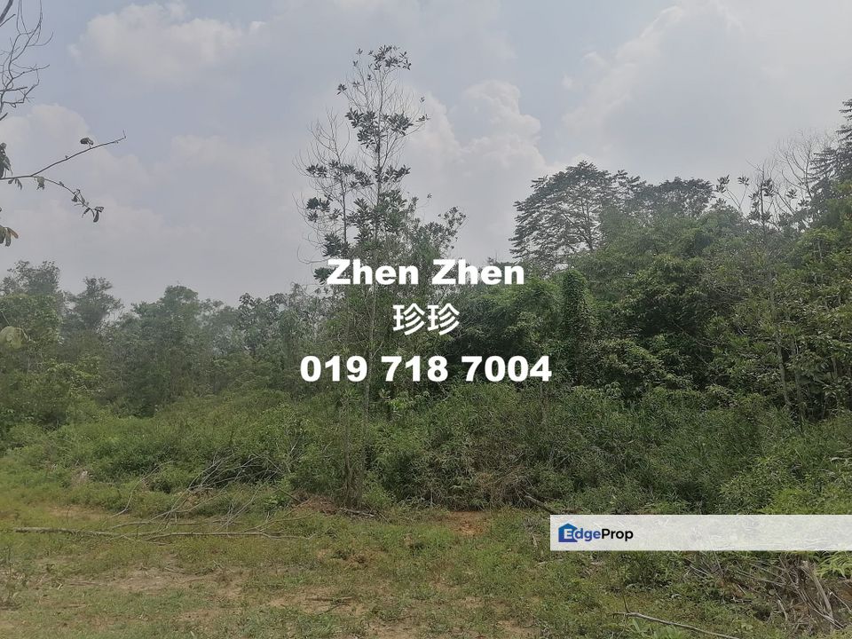 Freehold 16 acres at Seelong Senai, Agricultural Land (Industrial Zoning) for Sale, Johor, Senai