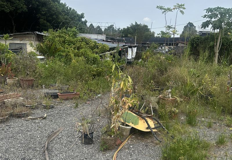 Jalan Bukit Kemuning