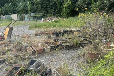 Jalan Bukit Kemuning